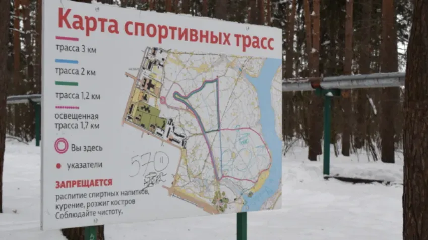 В парке «Харинка» идет подготовка трассы для проведения «Лыжни России»