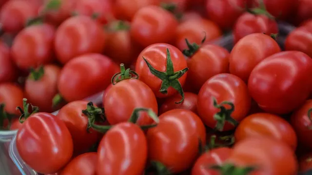 Что будет с помидорами? Цены бьют рекорды!