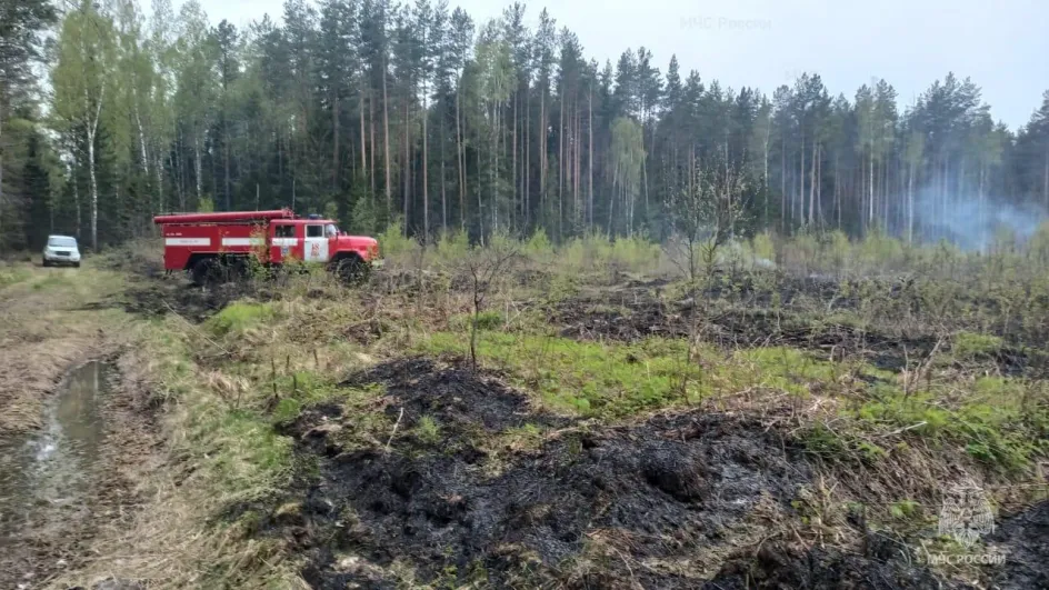 В Ивановской области потушен низовой лесной пожар
