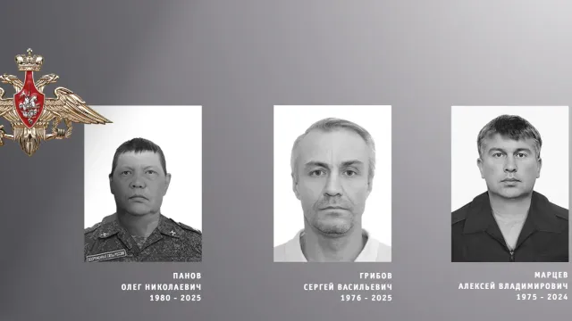 На СВО погибли бойцы Панов, Марцев и Грибов из Ивановской области