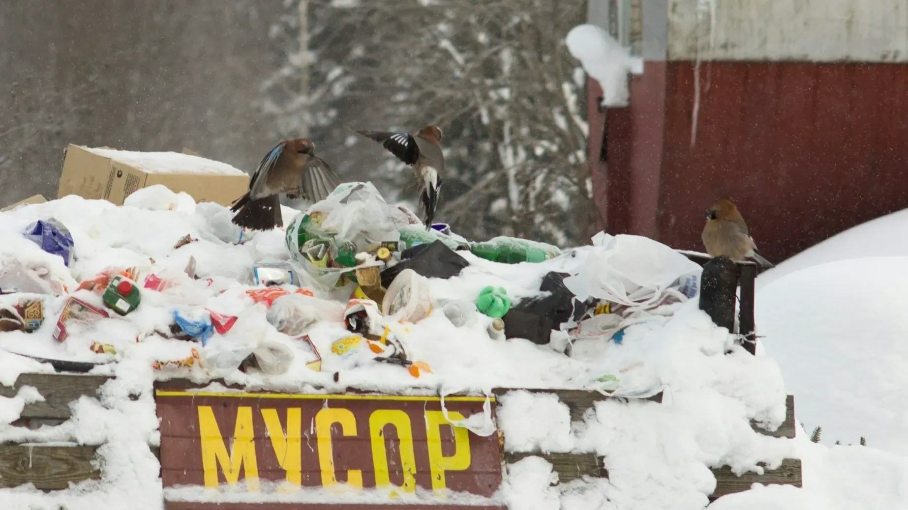 В Юрьевецком районе прокуратура выявила проблемы с вывозом отходов