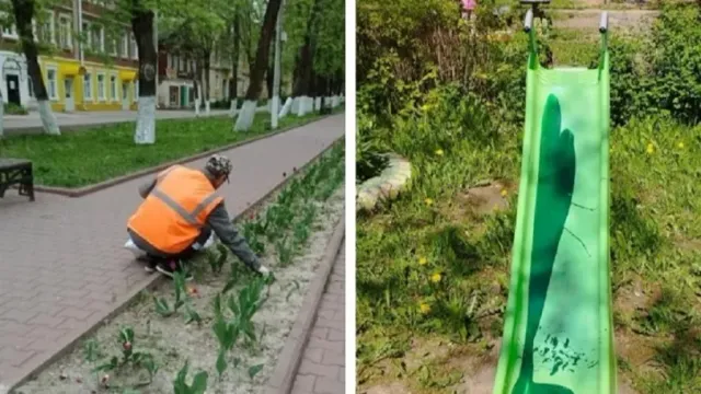 Вандалами, испортившими центральную аллею в Фурманове, оказались два молодых парня