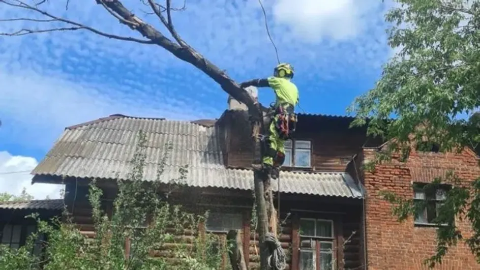 Более сотни деревьев убрали в Иванове после урагана