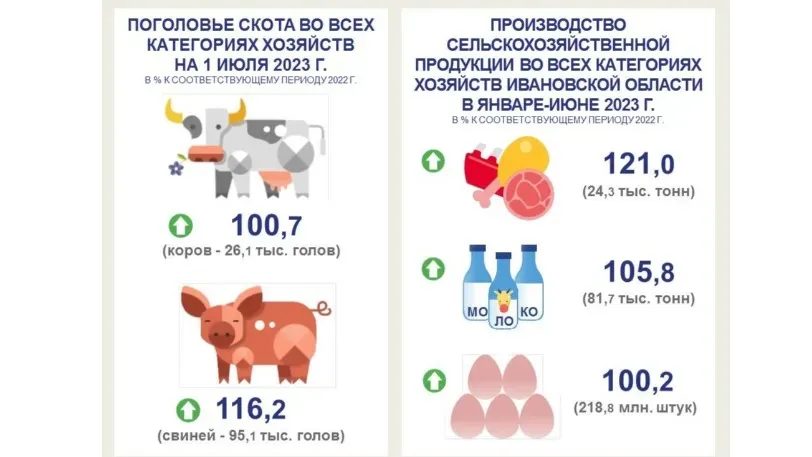 Производство сельхозпродукции в Ивановской области выросло на 7,2%