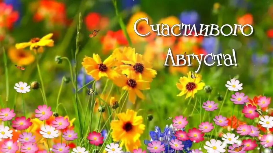 В Ивановской области пересчитали Август и Августин