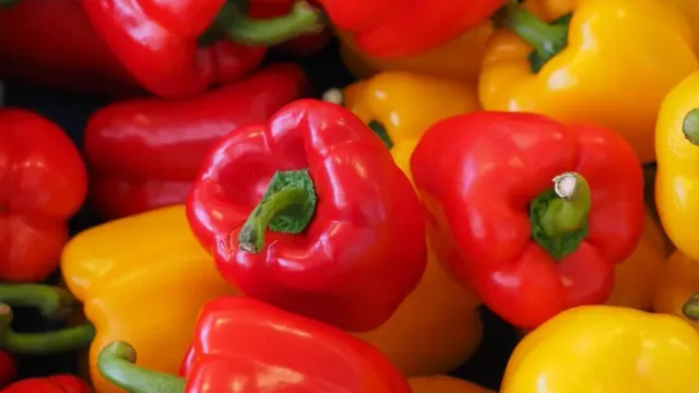 Оптимальная температура в теплице для овощей