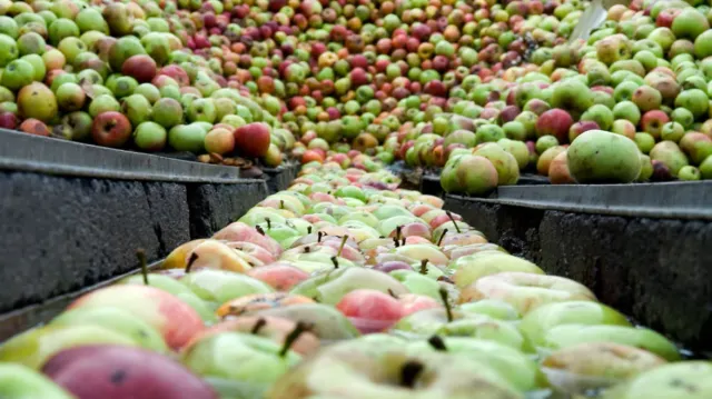 Россияне больше не пьют? Страна переходит на ЗОЖ!