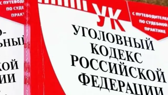 Жительница Вичуги осуждена за насилие над полицейским и взятку