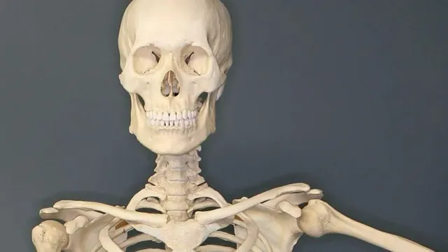 В Иванове нашли загадочный мужской скелет