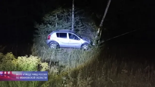 В Ивановской области дама на иномарке сбила кабанов и врезалась в дерево