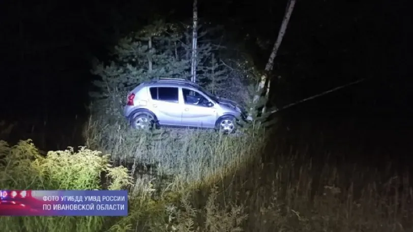 В Ивановской области дама на иномарке сбила кабанов и врезалась в дерево