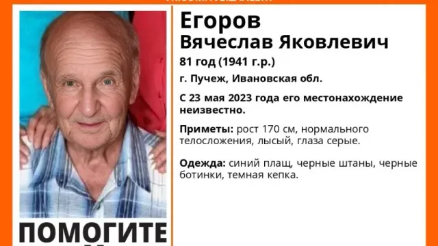 Отряд «Лиза Алерт» продолжает поиски 81-летнего жителя Пучежа, пропавшего 24 мая