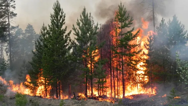 В преддверии пожароопасного сезона в Ивановской области прошли межрегиональные учения