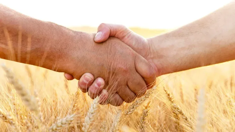В Ивановской области сельхозпотребкооперативы поддержат субсидиями и грантами