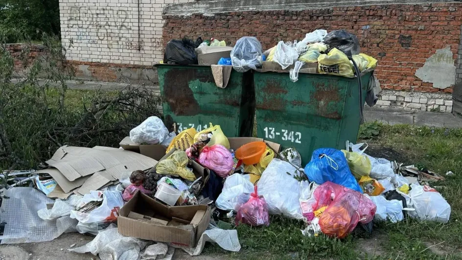 Вичужане недовольны частотой вывоза мусора