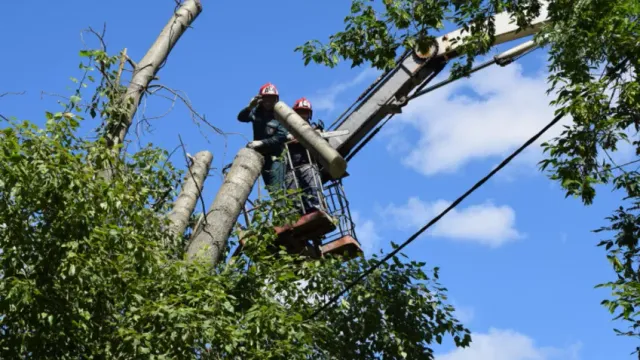 Горячая новость | В Иванове продолжают ликвидировать последствия урагана