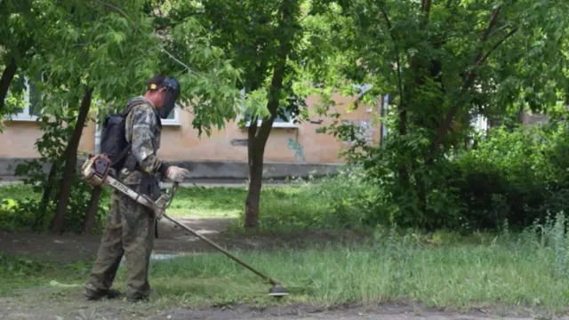 В Иванове скоро исчезнет трава