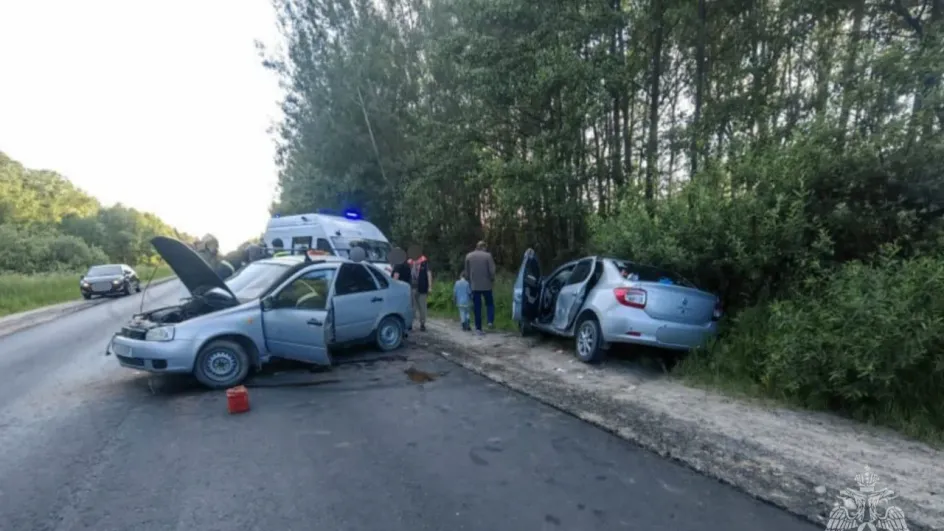 В Шуйском районе при ДТП ранены два человека В Шуйском районе при ДТП ранены два человека