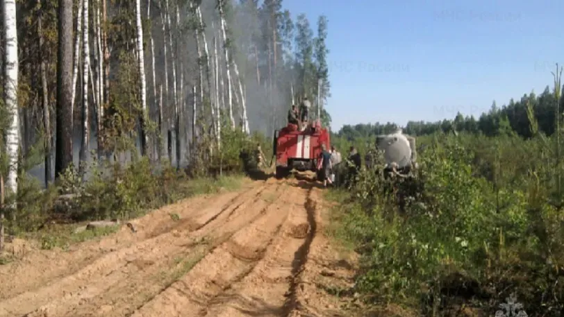 В Ивановской области 15 человек тушили лесной пожар на площади 1,4 га