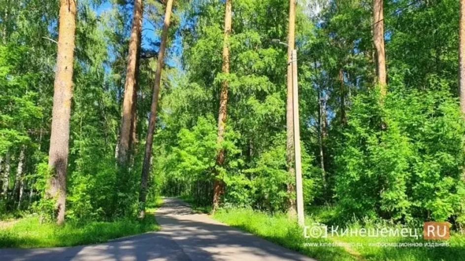В Ивановской области будет создана еще одна охранная зона