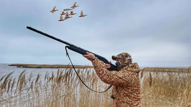 В Ивановской области ускорили выдачу охотничьих разрешений