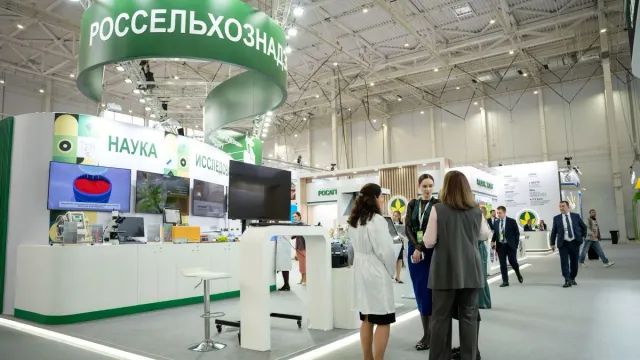 Аграрии Ивановской области отчитались о рекордном росте производства