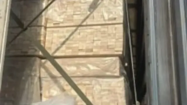 Ивановская область продала хвойные деревья в Ирак