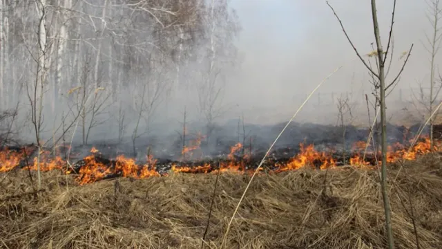 С 26 апреля в Ивановской области вводится особый противопожарный режим