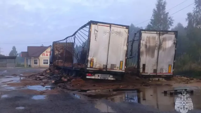 В Палехском районе огонь уничтожил два грузовика