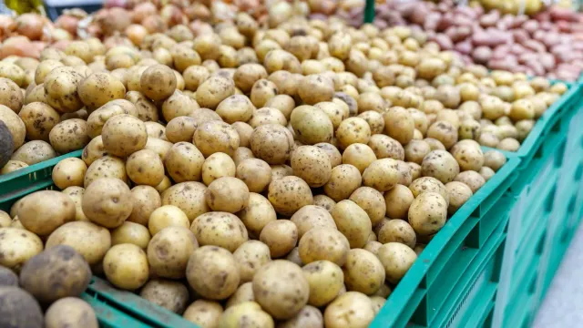 Магазины сошли с ума: Картошку отдают даром!