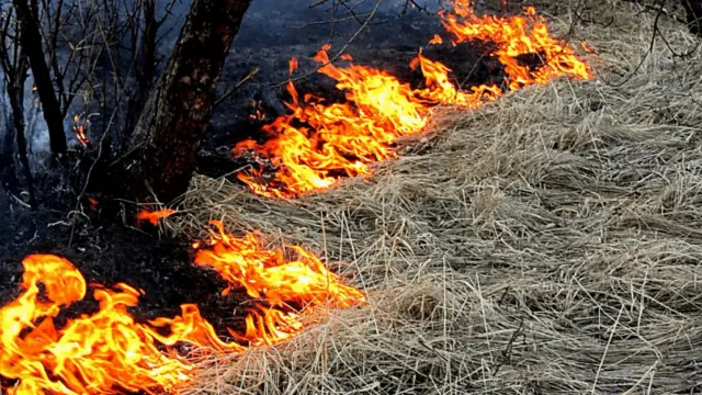 Сотрудники пожарной части колонии-поселении №10 приняли участие в тушении пожара