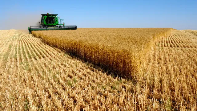 Сельхозтоваропроизводителям Ивановской области доступны льготные кредиты