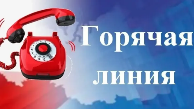 В Иванове помогут взыскать алименты по телефону