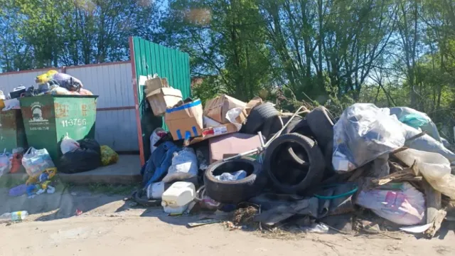Жители Лежнева массово жалуются на свалки у контейнерных площадок