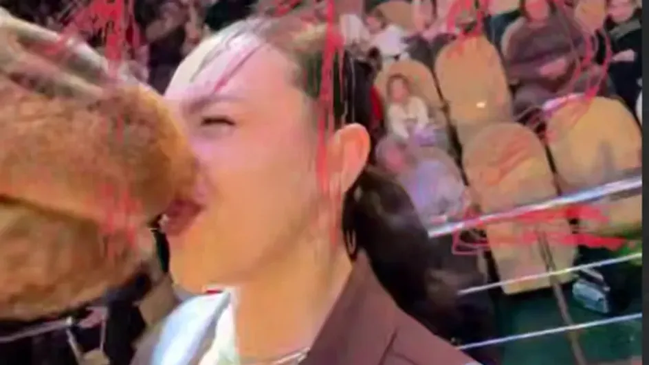 В Иванове любвеобильный жираф удивил посетительницу цирка поцелуем