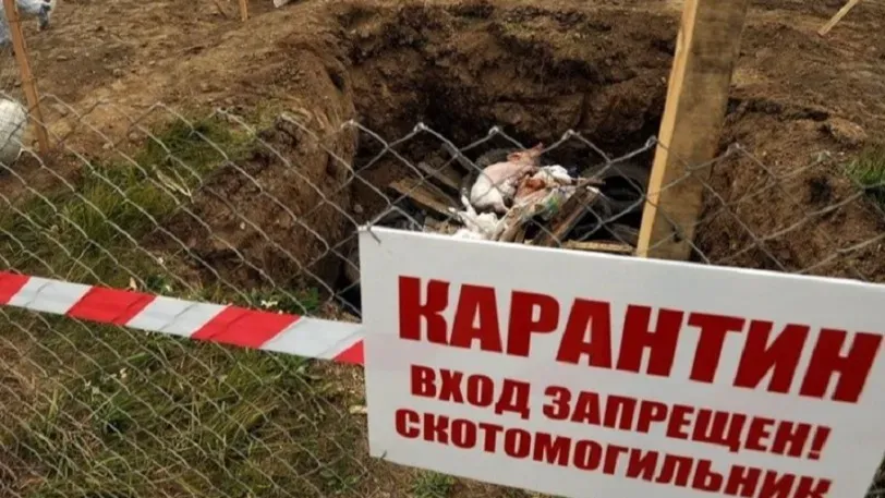 В Тейковском районе найден бесхозный сибиреязвенный скотомогильник