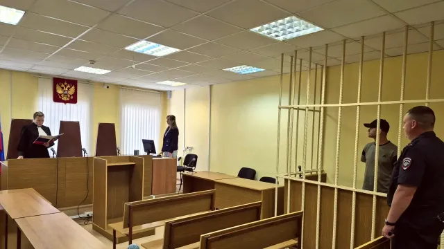Житель Пестяковского района получил 13 лет колонии за убийство и покушение