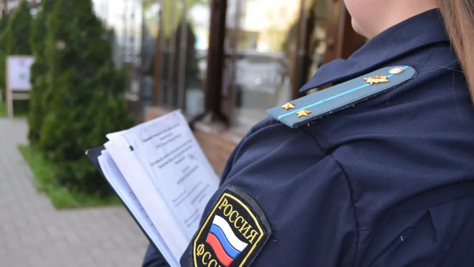 В Ивановской области предприятие восстановило лес после предписания приставов В Ивановской области предприятие восстановило лес после предписания приставов