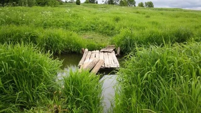 В Ивановской области проверят качество воды в 36 родниках