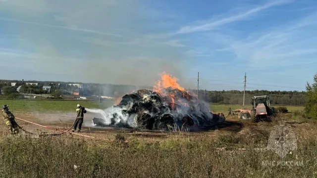 В Ивановской области диверсанты сожгли сено