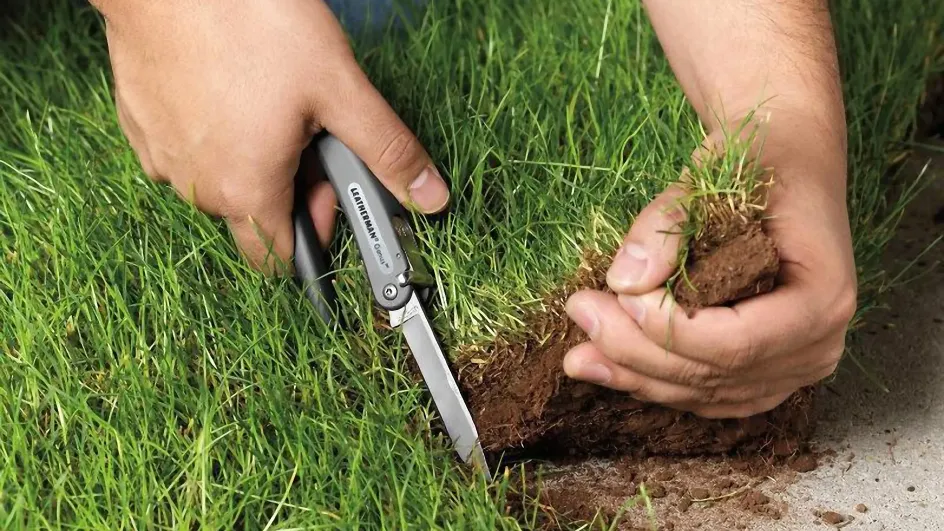 Бизнесмен в Палехском районе незаконно купил гектары земли Бизнесмен в Палехском районе незаконно купил гектары земли