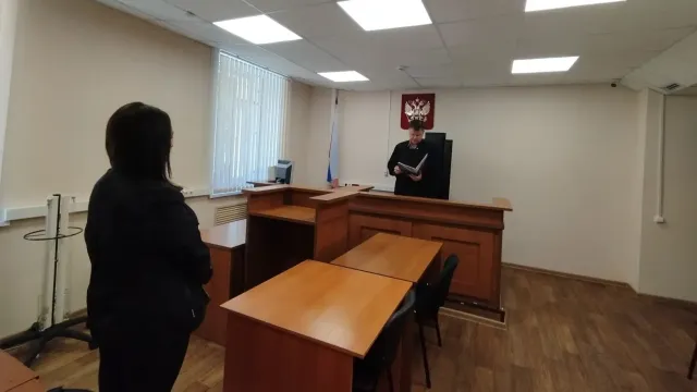 27-летняя ивановка обокрала три «Пятерочки» и покусала полицейского