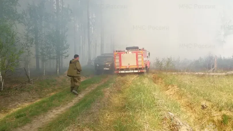 В Пестяковском районе Ивановской области утром вспыхнул лесной пожар