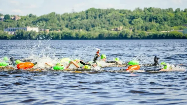 2 июля в Кинешме запланированы соревнования по плаванию на открытой воде «Swimcup – Волга»