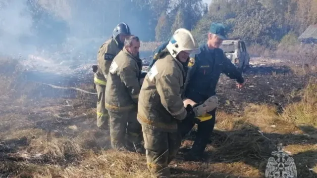 В Заволжском районе от пожара чуть не погибла половина жителей деревни