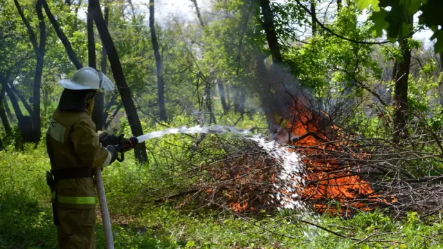 В Ивановской области утвердили Сводный план тушения лесных пожаров на 2024 год