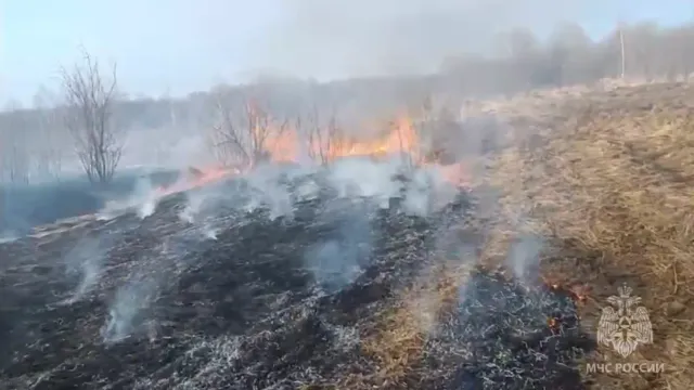В Ивановской области за сутки пожарные 19 раз выезжали тушить горящую траву