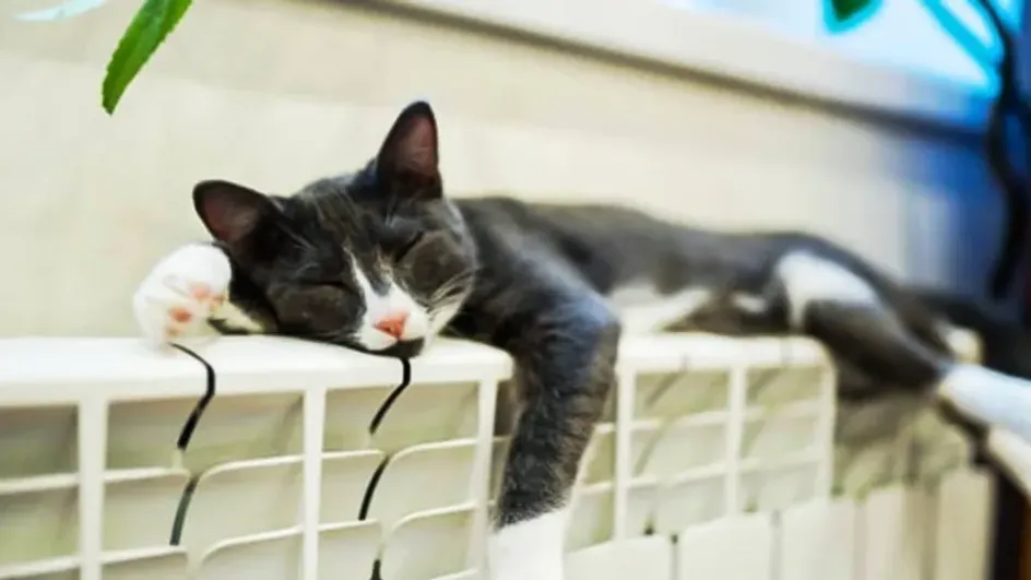 В Иванове начали готовиться к новому отопительному сезону