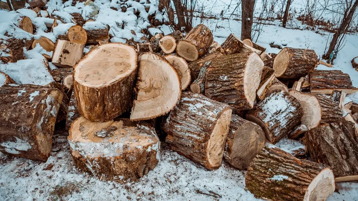 В Комсомольском районе жителям негде заготавливать дрова