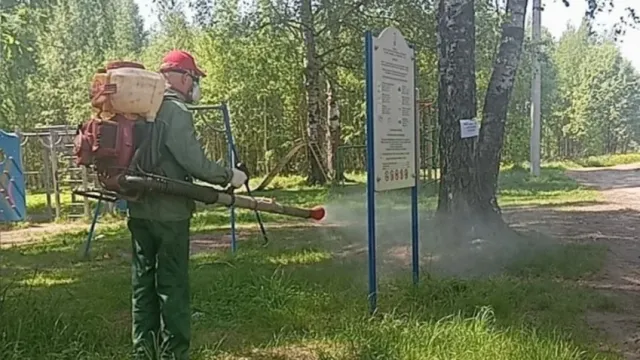 В Иванове начали обработку детских площадок от клещей